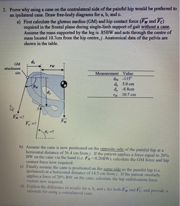 2. Prove why using a cane on the contralateral side