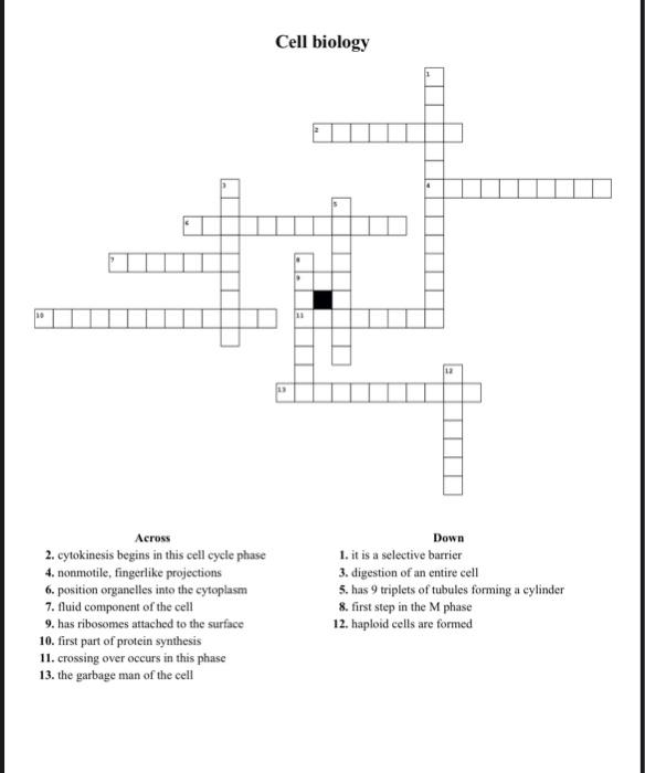 Solved Across Down 4. nonmotile, fingerlike projections 3. | Chegg.com