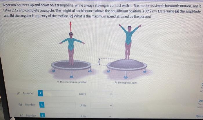 Solved A person bounces up and down on a trampoline, while | Chegg.com