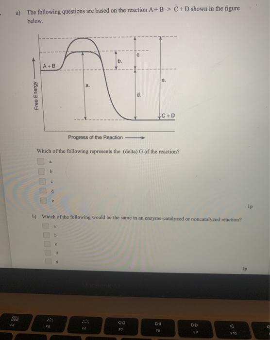 Solved The following questions are based on the reaction A+B | Chegg.com