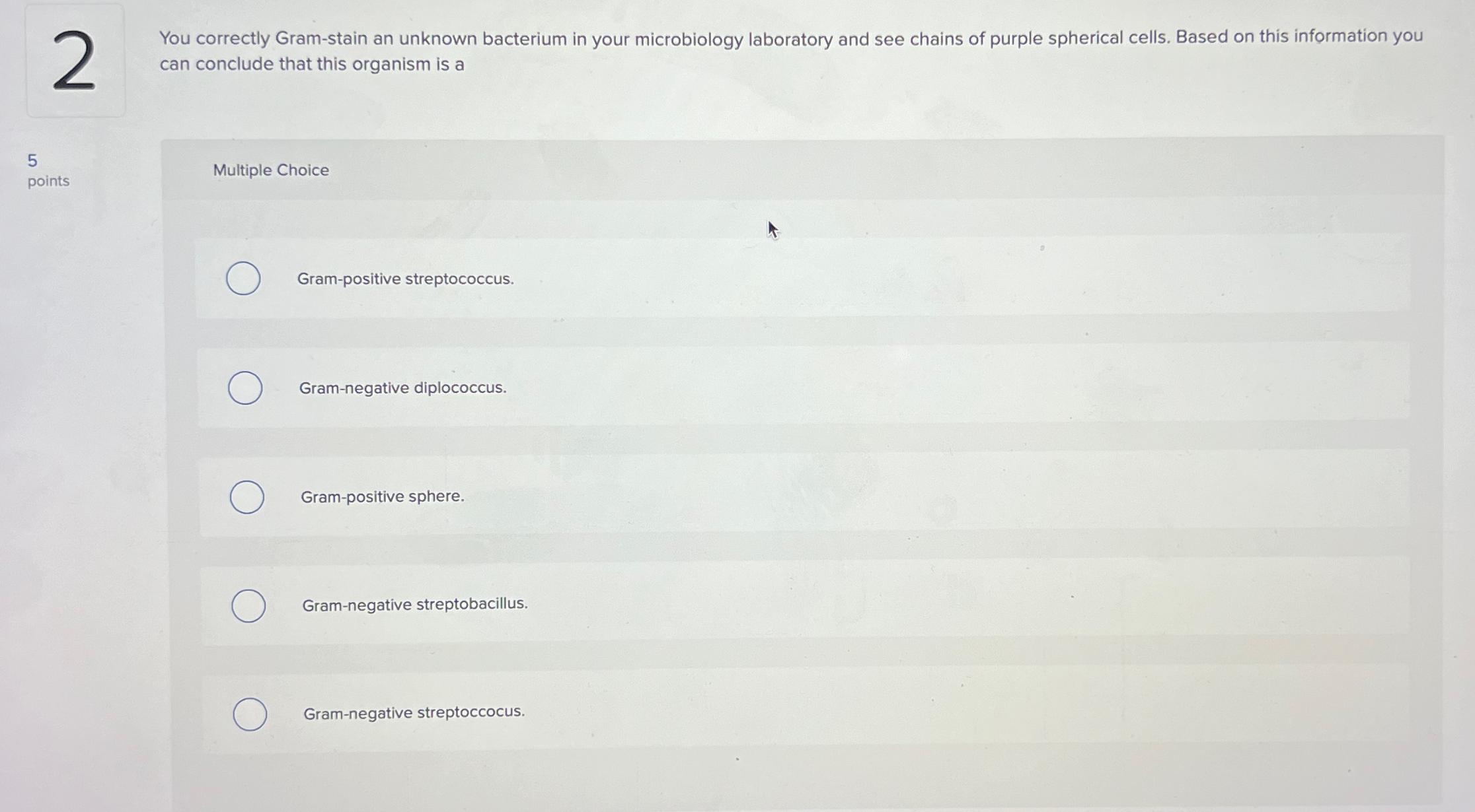 Solved 2You correctly Gram-stain an unknown bacterium in | Chegg.com