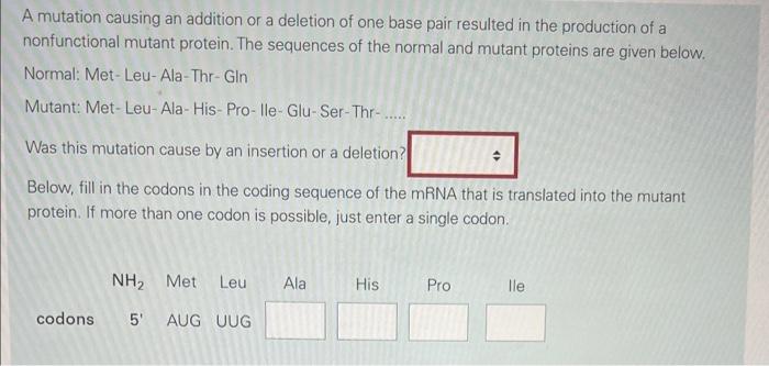 A mutation causing an addition or a deletion of one base pair resulted in the production of a nonfunctional mutant protein. T