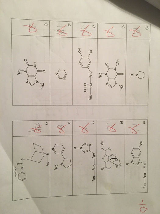 CH2CH2NH2 Hyco CH2 - CH2 -NH2 HO C H2-CH- NH2 COOH HO | Chegg.com