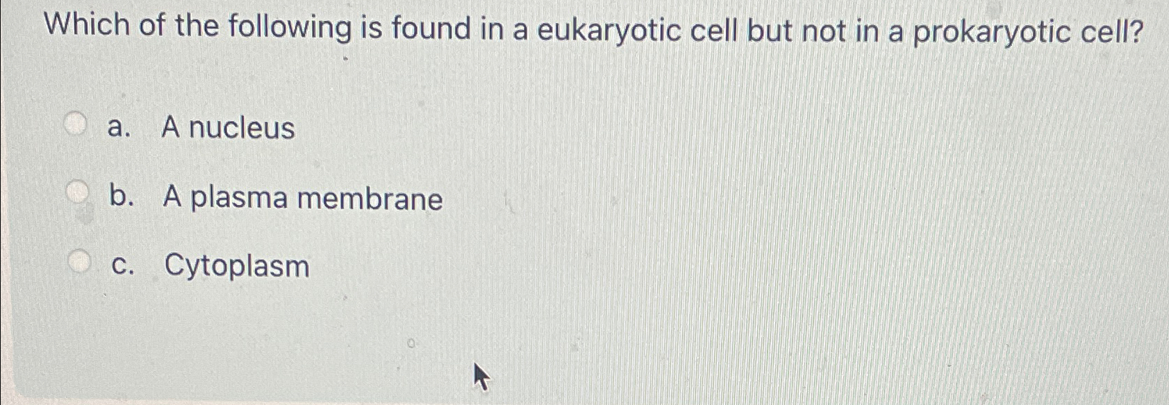 Solved Which of the following is found in a eukaryotic cell | Chegg.com
