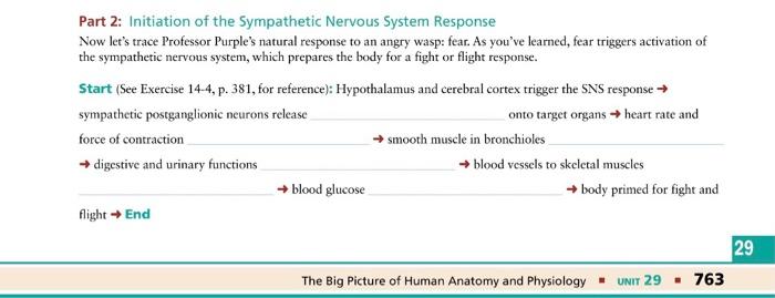 Solved Part 2: Initiation of the Sympathetic Nervous System | Chegg.com