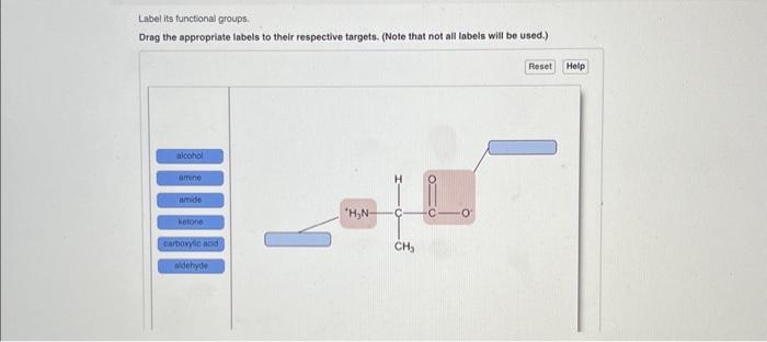 Solved Label its functional groups | Chegg.com