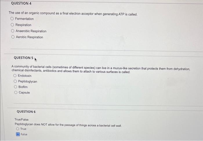 Solved A bacteria that is observed under a microscope to | Chegg.com