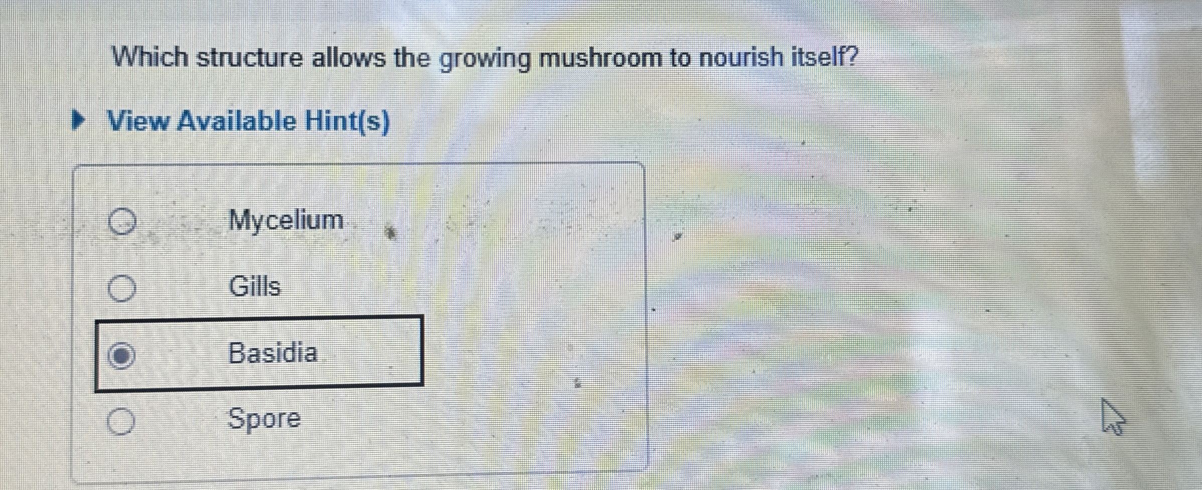 Solved Which structure allows the growing mushroom to