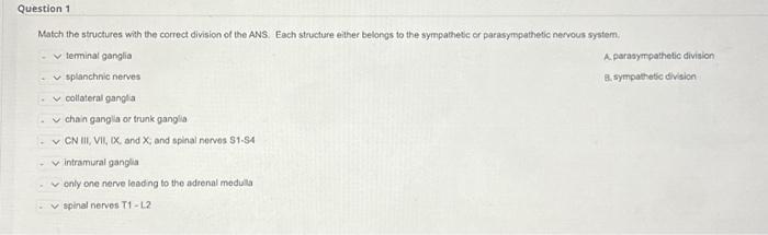 Solved Match the structures with the correct division of the | Chegg.com