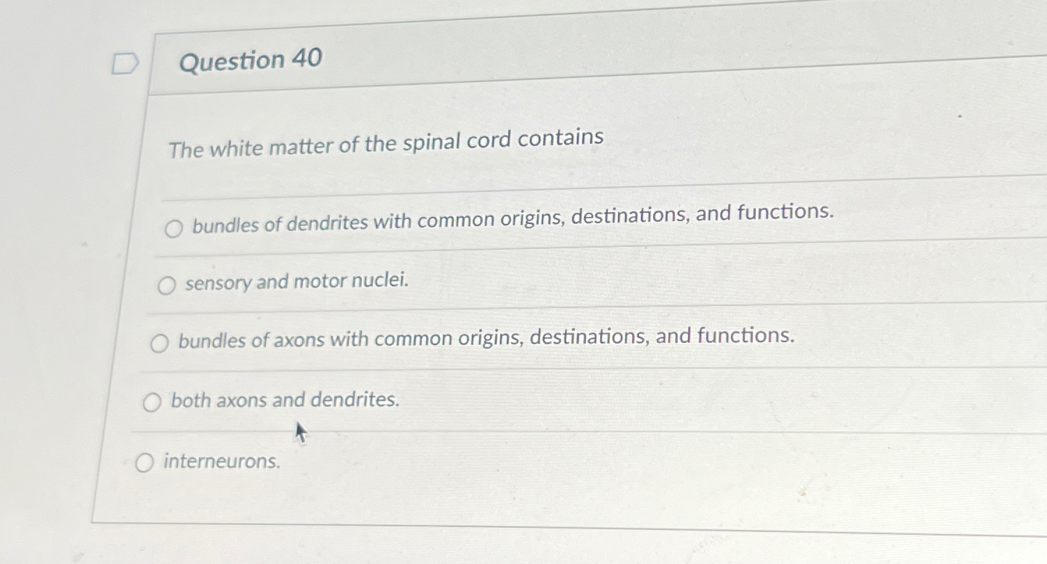 Solved Question 40The white matter of the spinal cord | Chegg.com