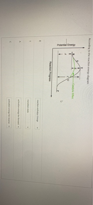 Solved Multiple answers: According to Chemical Kinetics | Chegg.com