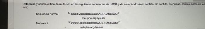 Determine y señale el tipo de mutación en las siguientes secuencias de mRNA y de aminoácidos (con sentido, sin sentido, silen