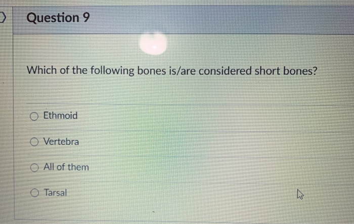 Solved > Question 9 Which of the following bones is/are | Chegg.com