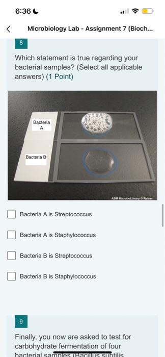 Solved Microbiology Lab - Assignment 7 (Bioch... 1. In this | Chegg.com