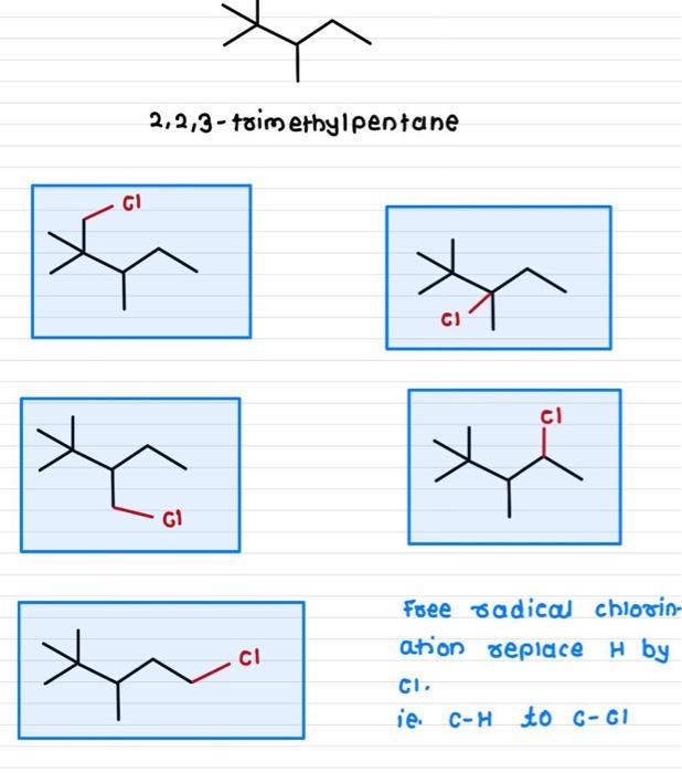 Name the following structures from the | Chegg.com