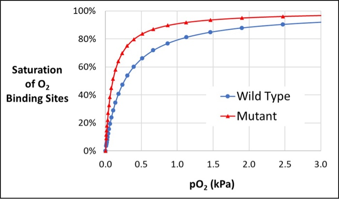 Solved Shown below are the binding curves for wild type and | Chegg.com