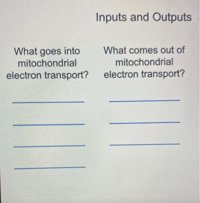 Solved Inputs and Outputs What goes into mitochondrial | Chegg.com