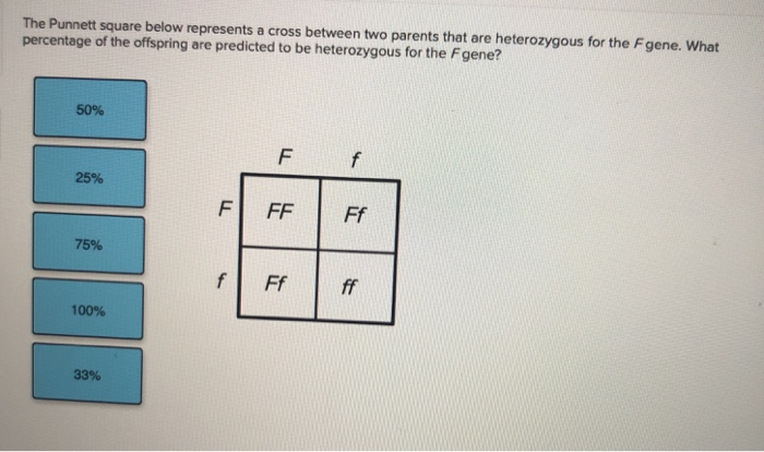 Solved The Punnett square below represents a cross between | Chegg.com