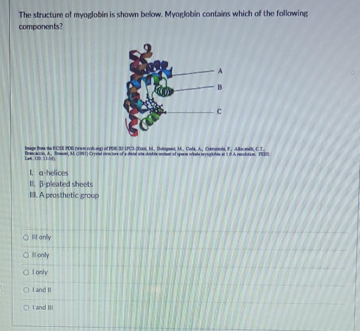 Solved The Structure Of Myogloblin Is Shown Below. | Chegg.com