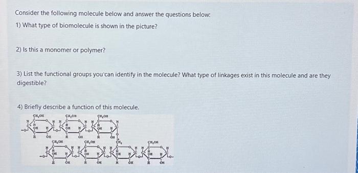 Solved Consider The Following Molecule Below And Answer The | Chegg.com