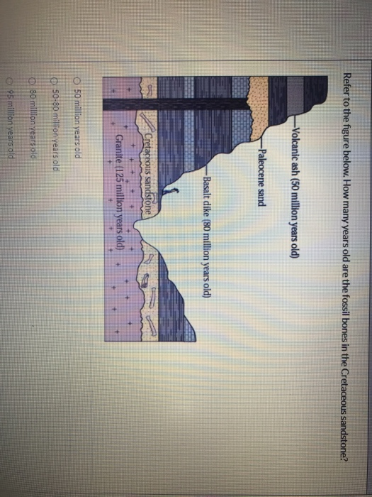 Solved Refer to the figure below. How many years old are the