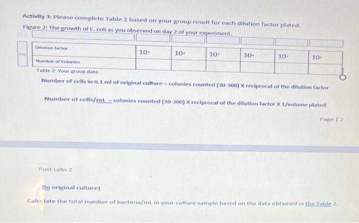 Protocol: Day 2 Calculate the number of bacteria per | Chegg.com