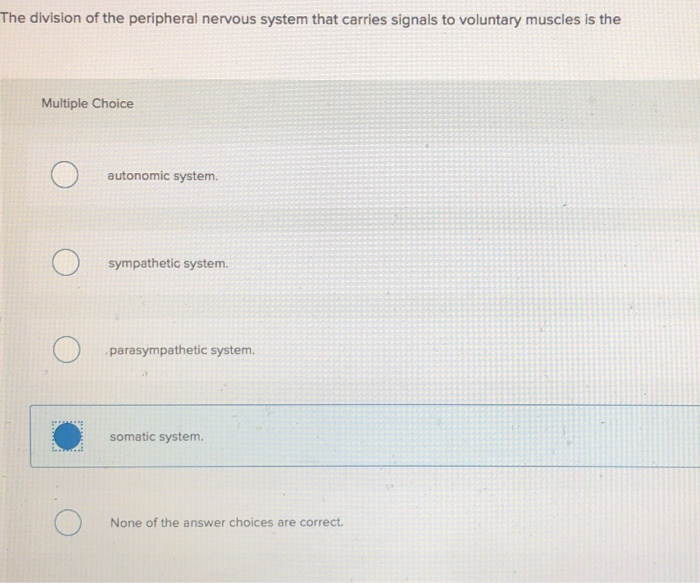 Solved The division of the peripheral nervous system that | Chegg.com