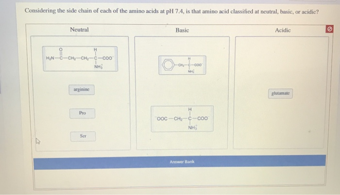 Solved Considering the side chain of each of the amino acids | Chegg.com