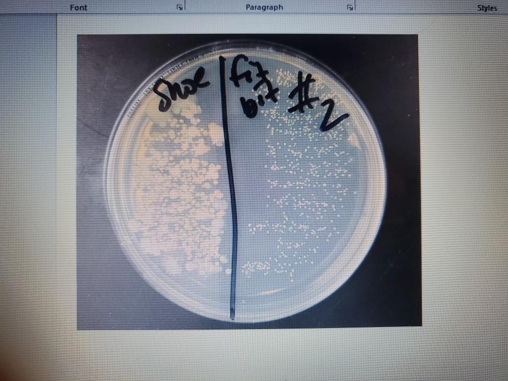2. What is the minimum number of different bacteria