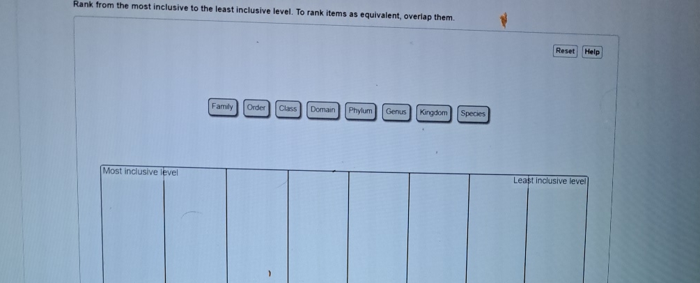 Solved Rank from the most inclusive to the least inclusive | Chegg.com