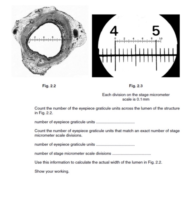 fotohoto foto IIIIIII IIIII Fig. 2.2 Fig. 2.3 Each