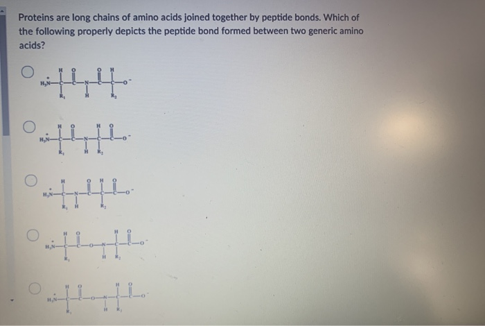 Solved Proteins are long chains of amino acids joined | Chegg.com