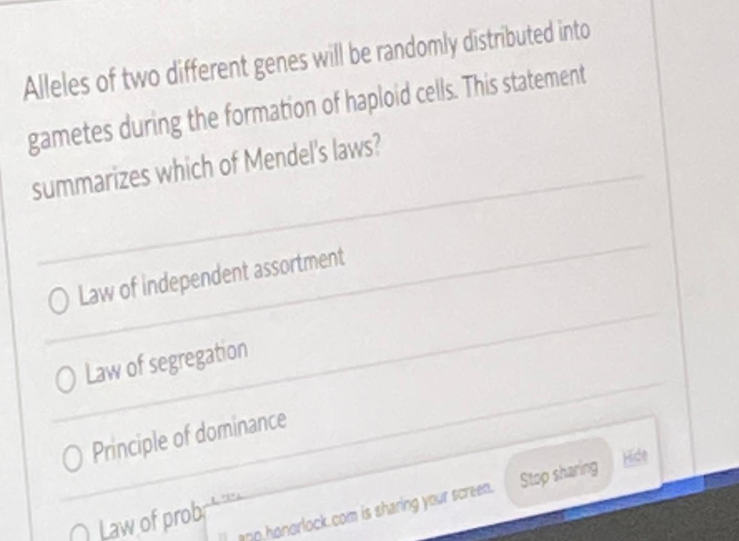 Solved Alleles of two different genes will be randomly | Chegg.com