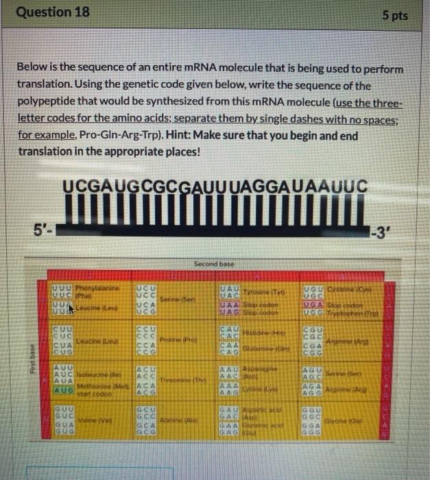 Solved Question 18 5 pts Below is the sequence of an entire | Chegg.com