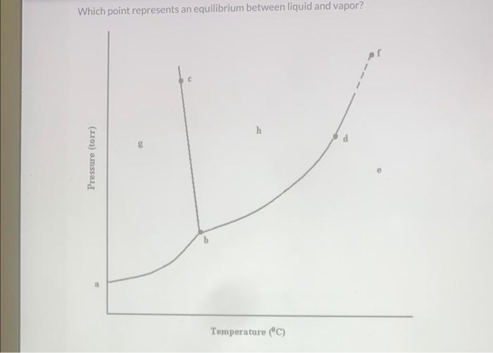 Solved Which point represents an equilibrium between liquid | Chegg.com