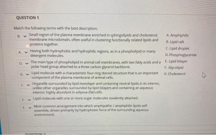 Solved QUESTION 1 Match the following terms with the best | Chegg.com