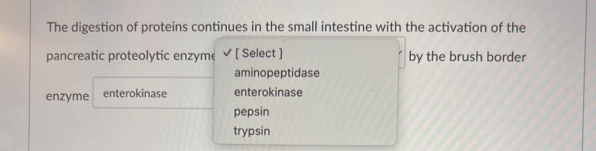 Solved The digestion of proteins continues in the small | Chegg.com