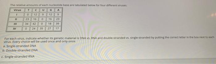 Solved 0 The Relative Amounts Of Each Nucleotide Base Are Chegg Com