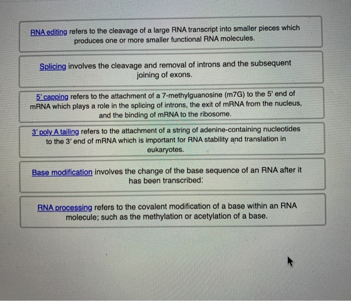 Solved RNA modification: Click and Drag - 2 Determine which | Chegg.com