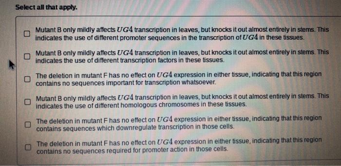 Solved The UG4 gene is expressed in stem tissue and leaf | Chegg.com
