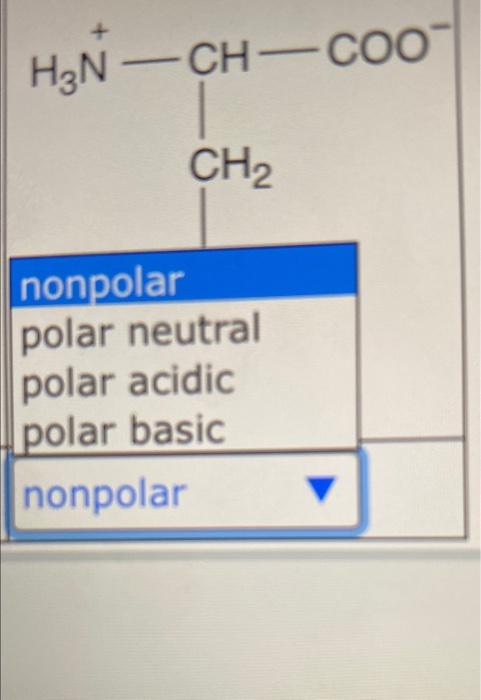 Classify each of the amino acids below. Note for | Chegg.com
