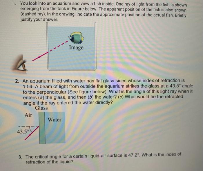 Solved 1. You look into an aquarium and view a fish inside. | Chegg.com