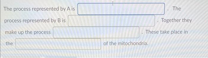 Solved C WWE A B The The process represented by Ais | Chegg.com