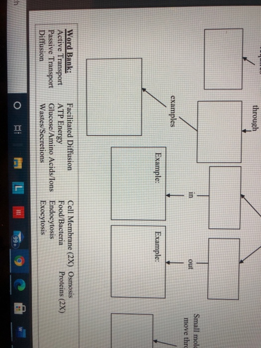 Solved Cell Transport Concept Map Complete The Map By Using Chegg Com   Image 