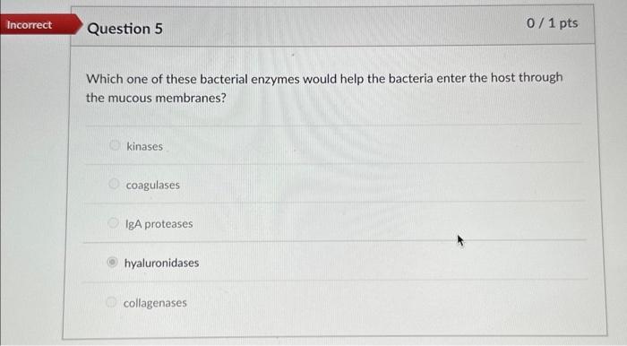 Solved Which one of these bacterial enzymes would help the | Chegg.com