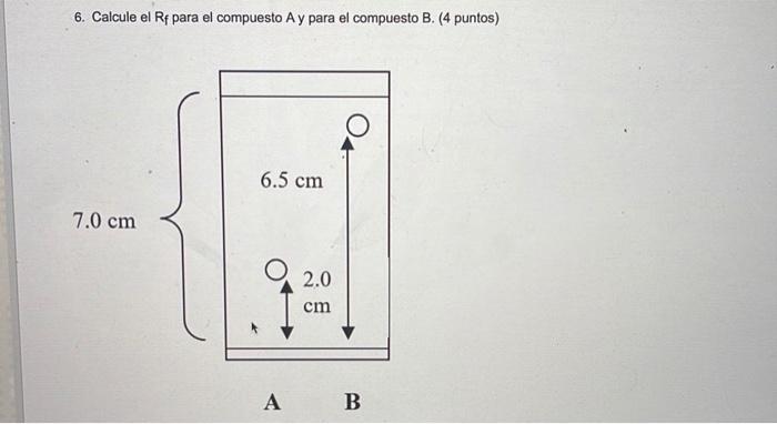 6. Calcule el \( R_{f} \) para el compuesto A y para el compuesto B. (4 puntos) A B