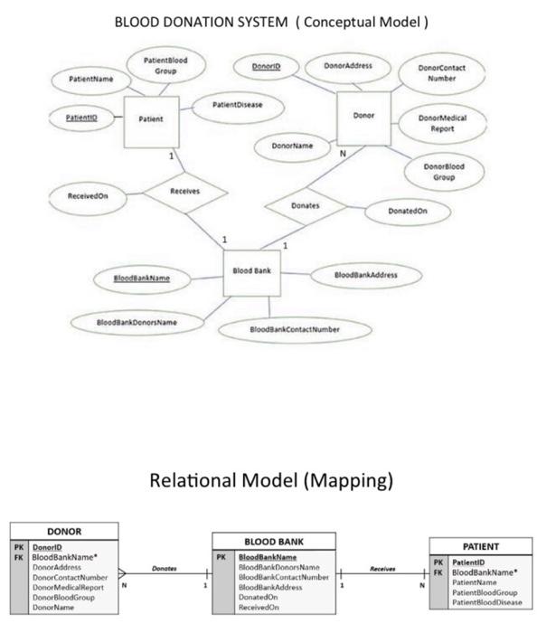 Solved BLOOD DONATION SYSTEM ( Conceptual Model) Relational | Chegg.com