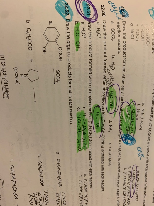 Solved how did the results of the experiment compare to your | Chegg.com