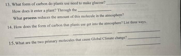 Solved 13. What form of carbon do plants use need to make | Chegg.com