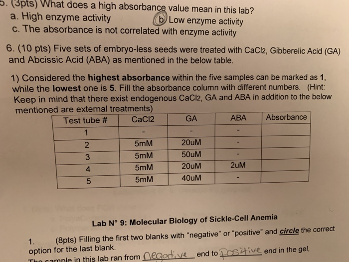 5. (3pts) What does a high absorbance value mean in